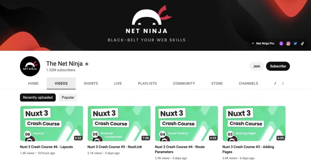 The Net Ninja